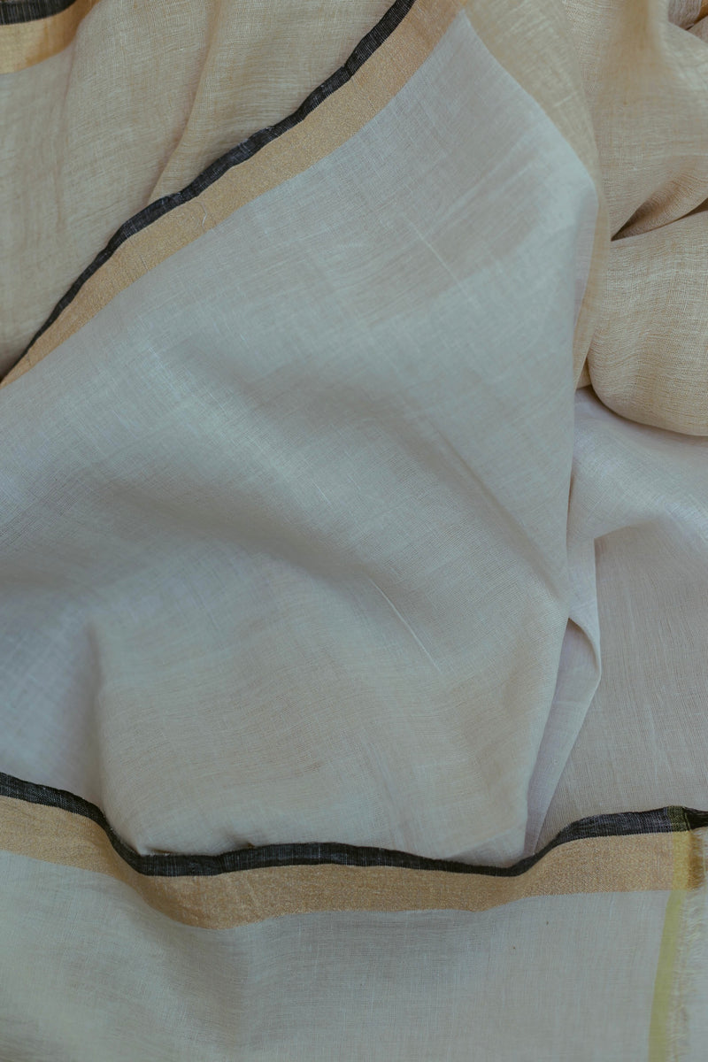 festive wear cotton saree for corporate events